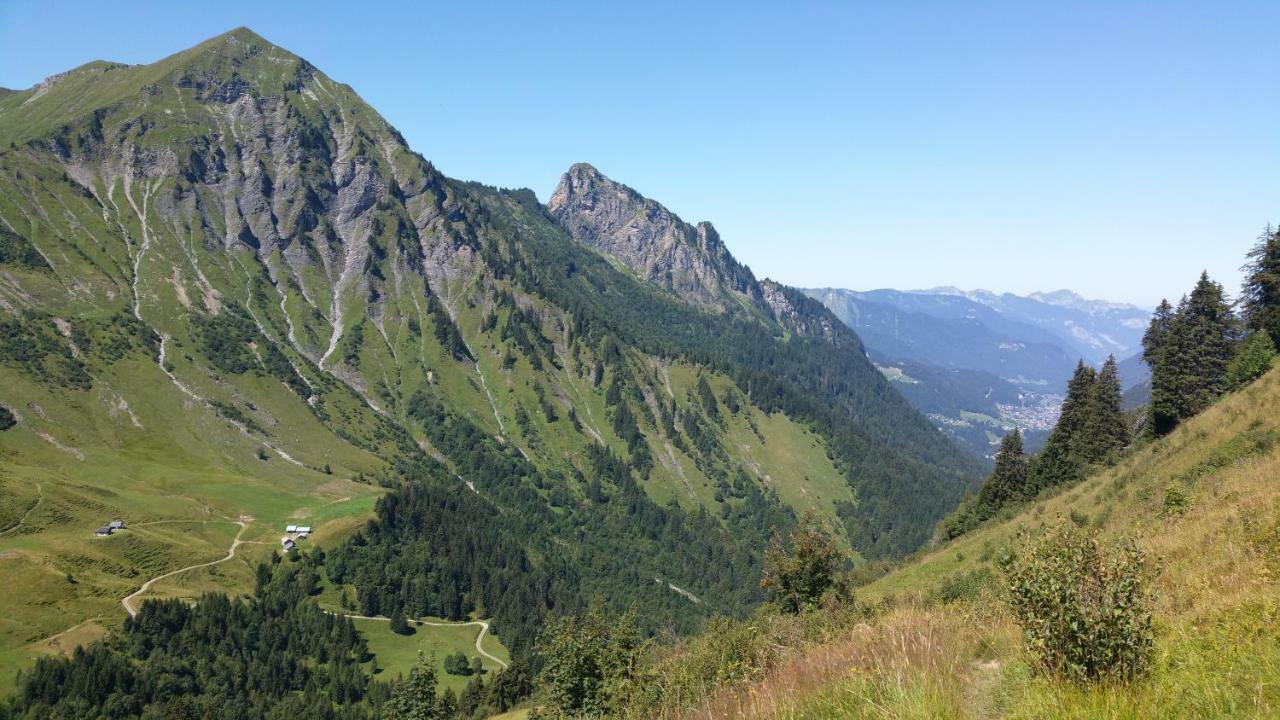 Le Marquis 2